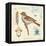 Spring Songbird-Christopher James-Framed Stretched Canvas