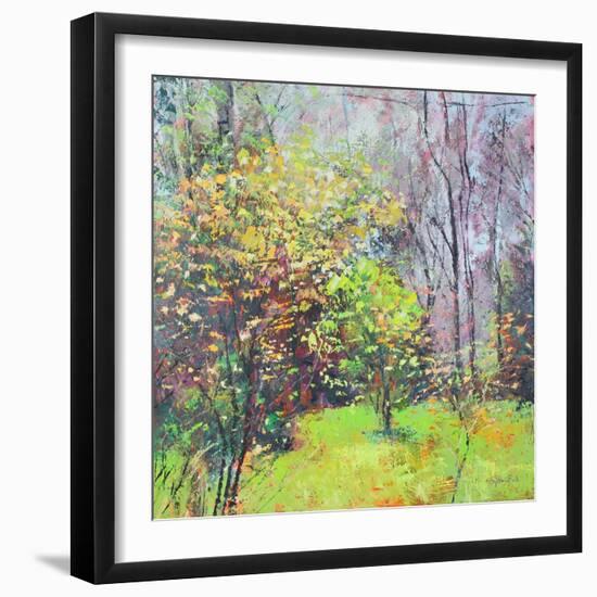 Spring Sparkle-Sylvia Paul-Framed Giclee Print