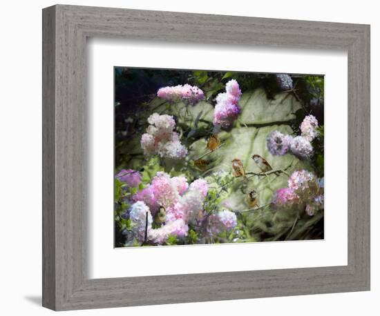 Spring Sparrows, 2020, (composite painting)-Helen White-Framed Giclee Print