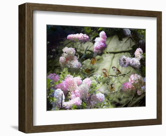 Spring Sparrows, 2020, (composite painting)-Helen White-Framed Giclee Print