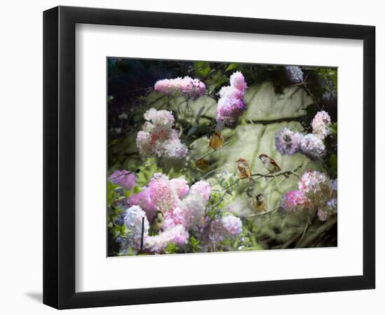 Spring Sparrows, 2020, (composite painting)-Helen White-Framed Giclee Print