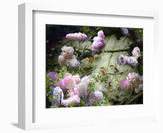 Spring Sparrows, 2020, (composite painting)-Helen White-Framed Giclee Print