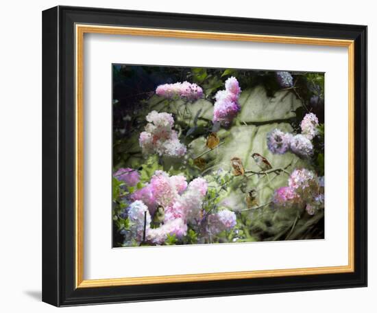 Spring Sparrows, 2020, (composite painting)-Helen White-Framed Giclee Print