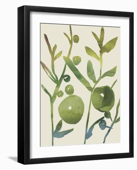 Spring Sprig I-Chariklia Zarris-Framed Art Print