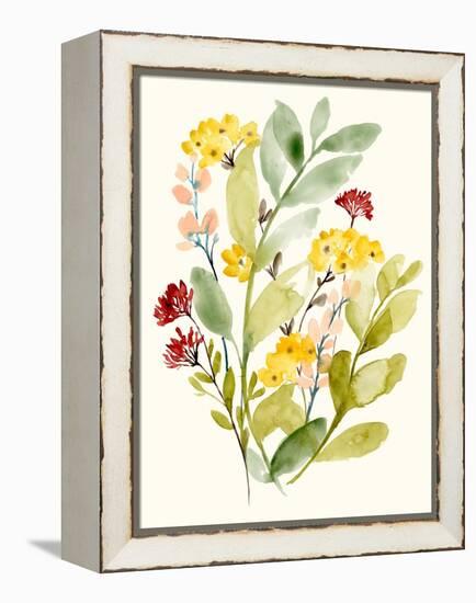 Spring Sprigs II-Jennifer Goldberger-Framed Stretched Canvas