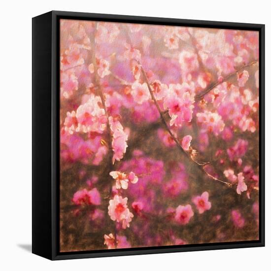 Spring Sprung; 2018, Mixed media)-Helen White-Framed Premier Image Canvas