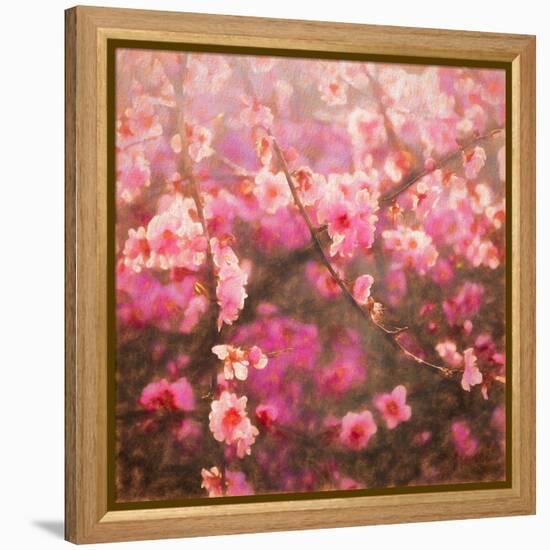 Spring Sprung-Helen White-Framed Premier Image Canvas
