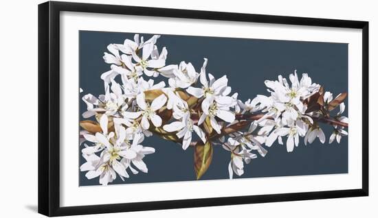 Spring Starlight, All is Well-Sarah Caswell-Framed Giclee Print