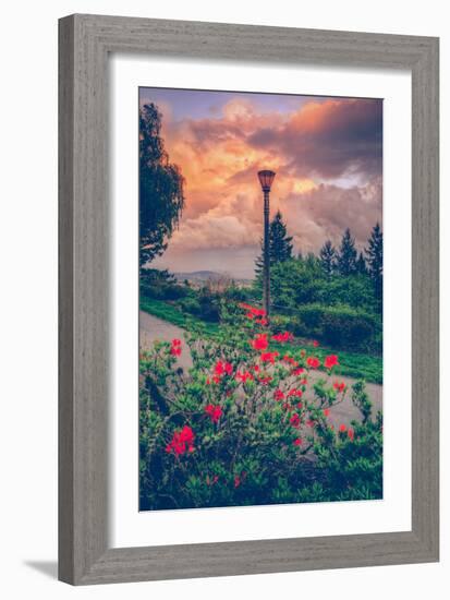 Spring Storm at Pittock Mansion, Portland Oregon-null-Framed Photographic Print