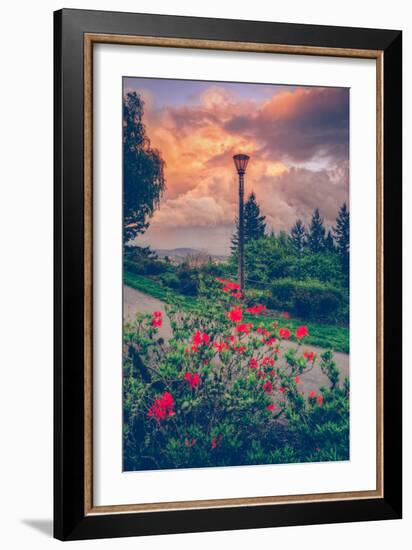 Spring Storm at Pittock Mansion, Portland Oregon-null-Framed Photographic Print