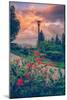 Spring Storm at Pittock Mansion, Portland Oregon-null-Mounted Photographic Print