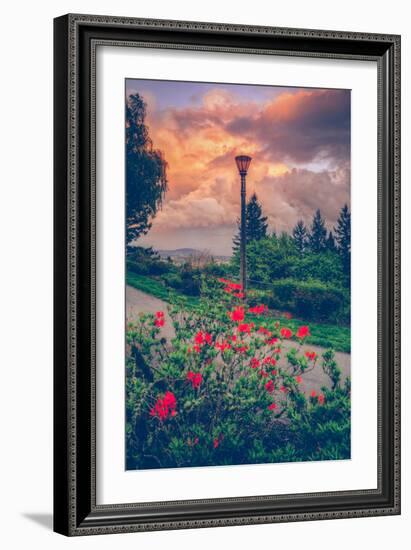 Spring Storm at Pittock Mansion, Portland Oregon-null-Framed Photographic Print