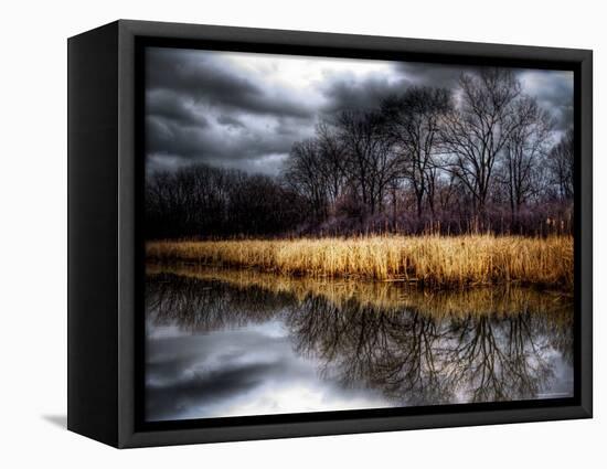 Spring Storm-Stephen Arens-Framed Premier Image Canvas