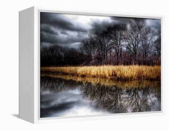 Spring Storm-Stephen Arens-Framed Premier Image Canvas