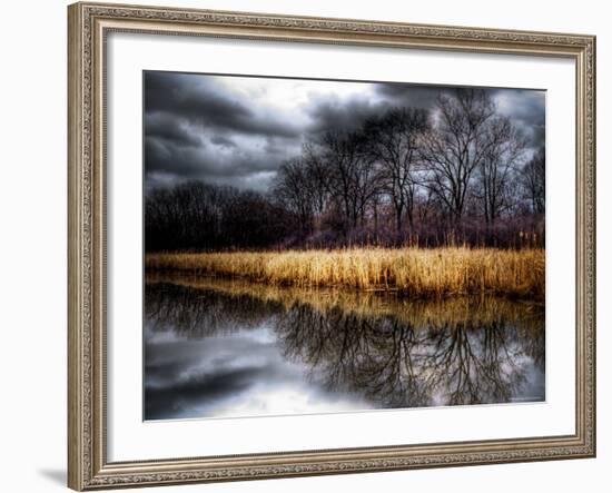 Spring Storm-Stephen Arens-Framed Photographic Print