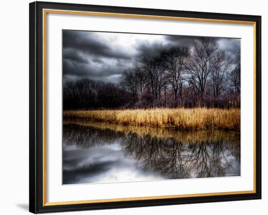 Spring Storm-Stephen Arens-Framed Photographic Print