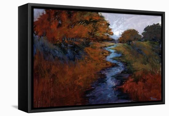 Spring Stream I-Michael Tienhaara-Framed Stretched Canvas