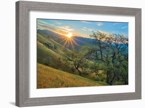 Spring Sunburst I-Mark Geistweite-Framed Photographic Print