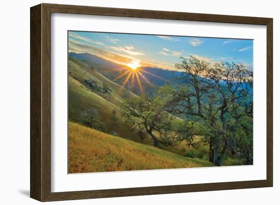 Spring Sunburst I-Mark Geistweite-Framed Photographic Print