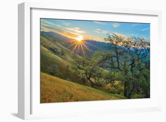 Spring Sunburst I-Mark Geistweite-Framed Photographic Print