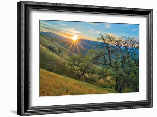 Spring Sunburst I-Mark Geistweite-Framed Photographic Print