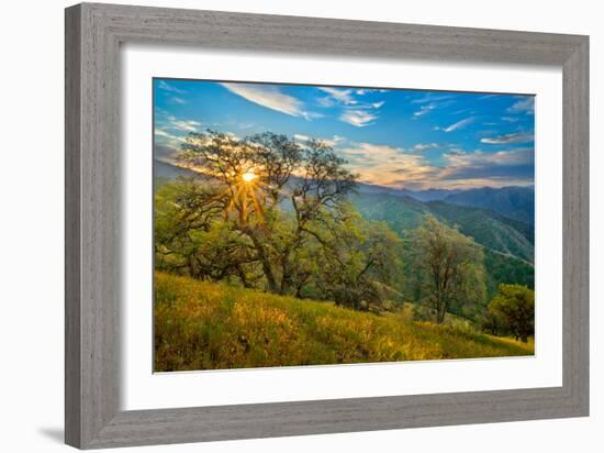 Spring Sunburst II-Mark Geistweite-Framed Photographic Print