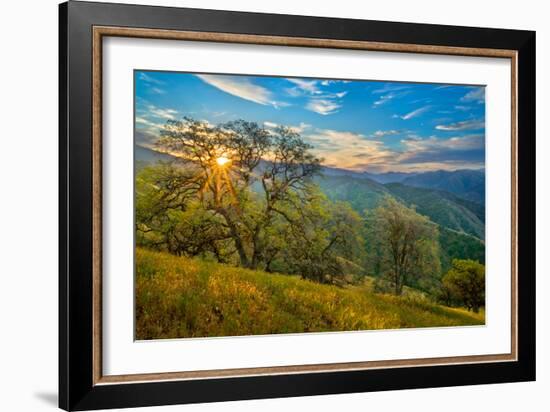 Spring Sunburst II-Mark Geistweite-Framed Photographic Print