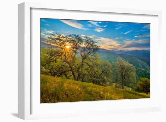 Spring Sunburst II-Mark Geistweite-Framed Photographic Print