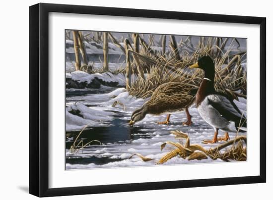 Spring Thaw - Mallards-Wilhelm Goebel-Framed Giclee Print