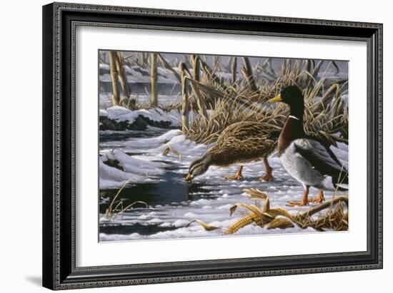 Spring Thaw - Mallards-Wilhelm Goebel-Framed Giclee Print