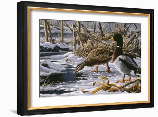 Spring Thaw - Mallards-Wilhelm Goebel-Framed Giclee Print