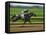 Spring Thoroughbred Horse Racing at Keeneland, Kentucky, USA-Adam Jones-Framed Premier Image Canvas