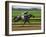 Spring Thoroughbred Horse Racing at Keeneland, Kentucky, USA-Adam Jones-Framed Photographic Print