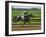 Spring Thoroughbred Horse Racing at Keeneland, Kentucky, USA-Adam Jones-Framed Photographic Print