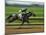 Spring Thoroughbred Horse Racing at Keeneland, Kentucky, USA-Adam Jones-Mounted Photographic Print