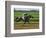 Spring Thoroughbred Horse Racing at Keeneland, Kentucky, USA-Adam Jones-Framed Photographic Print