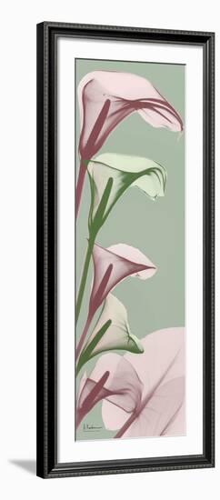 Spring Time Calla Lilies-Albert Koetsier-Framed Photo