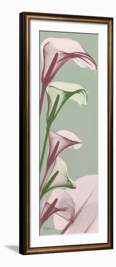 Spring Time Calla Lilies-Albert Koetsier-Framed Photo