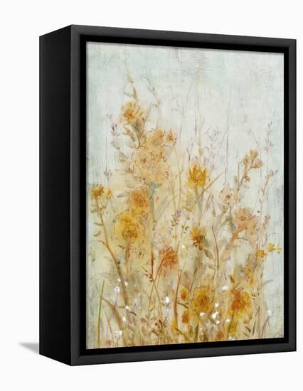 Spring Time I-Tim O'toole-Framed Stretched Canvas