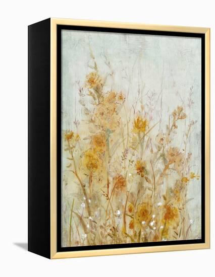 Spring Time I-Tim O'toole-Framed Stretched Canvas