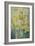 Spring Time, mixed daffodils in tank No 3., Mrs Krelage, Ice Follies and Fortune-Karen Armitage-Framed Giclee Print