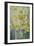 Spring Time, mixed daffodils in tank No 3., Mrs Krelage, Ice Follies and Fortune-Karen Armitage-Framed Giclee Print