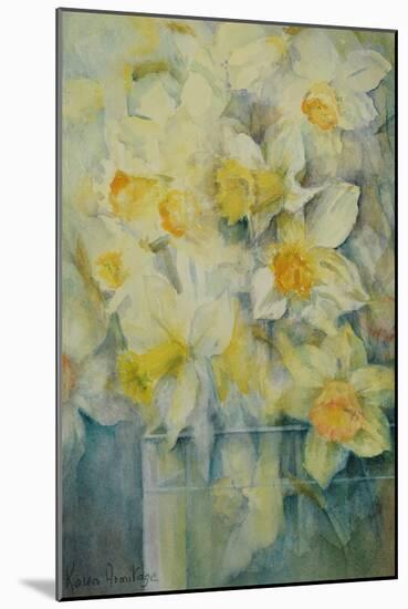 Spring Time, mixed daffodils in tank No 3., Mrs Krelage, Ice Follies and Fortune-Karen Armitage-Mounted Giclee Print