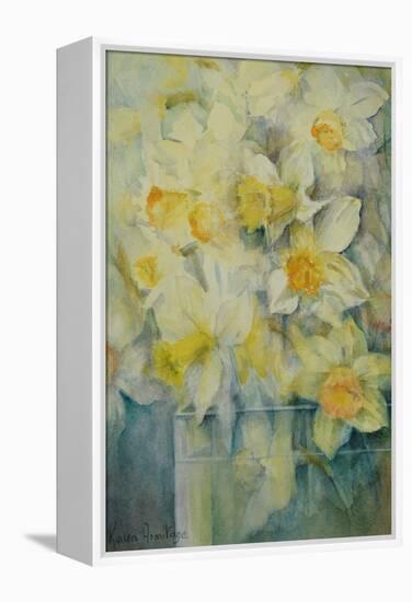 Spring Time, mixed daffodils in tank No 3., Mrs Krelage, Ice Follies and Fortune-Karen Armitage-Framed Premier Image Canvas