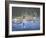 Spring Training-Bruce Dumas-Framed Giclee Print