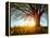 Spring Tree in a Meadow with Grass at Sunset-Dudarev Mikhail-Framed Premier Image Canvas