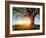 Spring Tree in a Meadow with Grass at Sunset-Dudarev Mikhail-Framed Photographic Print