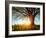 Spring Tree in a Meadow with Grass at Sunset-Dudarev Mikhail-Framed Photographic Print