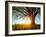 Spring Tree in a Meadow with Grass at Sunset-Dudarev Mikhail-Framed Photographic Print