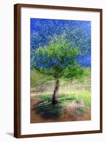 Spring Tree-Ursula Abresch-Framed Photographic Print